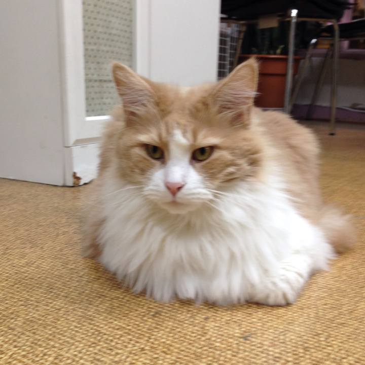 8e1d3379 ac13 4671 bb14 1790885be796