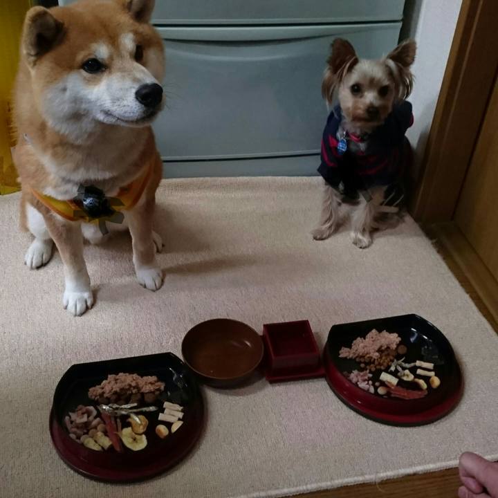 8e1d8780 5c93 4faa a600 53f110233004