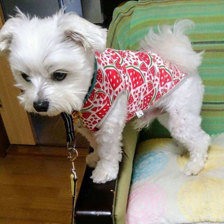 8e1f3ba2 7c26 4d92 a508 a91cc26bba60