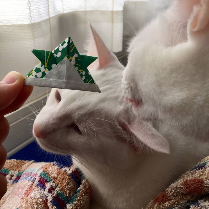 8e1f46b6 b25a 4596 8519 0a5566e4d2e8