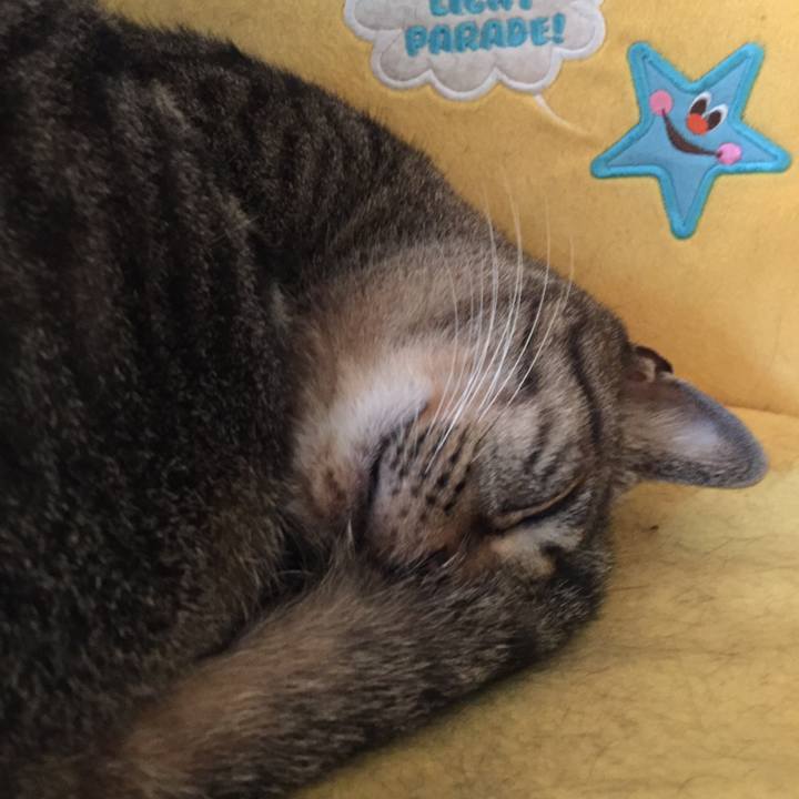 8e1f7f1d 8be4 48e4 9a7b 9fb9c77b06f8