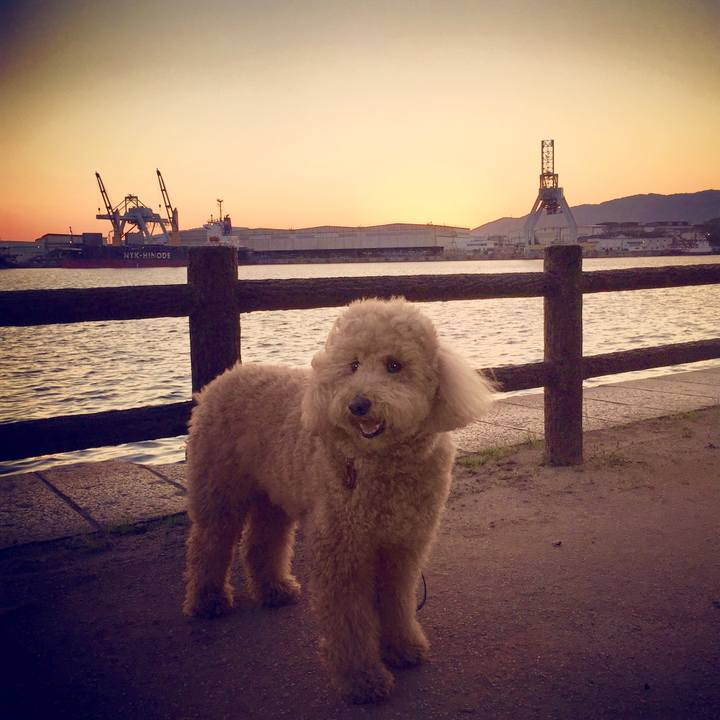 8e1fac0e 2767 4a10 b607 6932dbb62c03