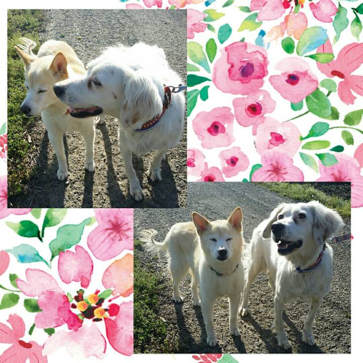 8e1ff3b8 eec9 4bd9 97ec 6fe142e39163