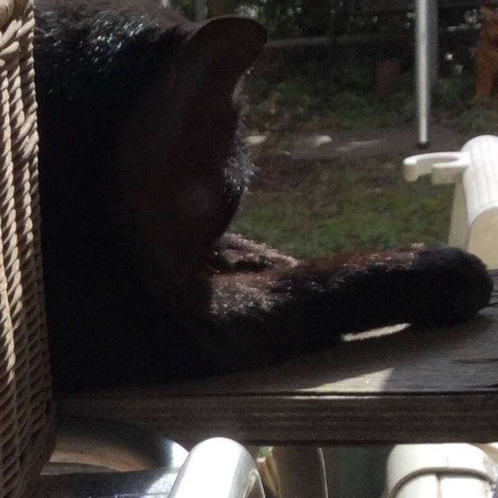 8e200396 725a 4887 a985 907922832370