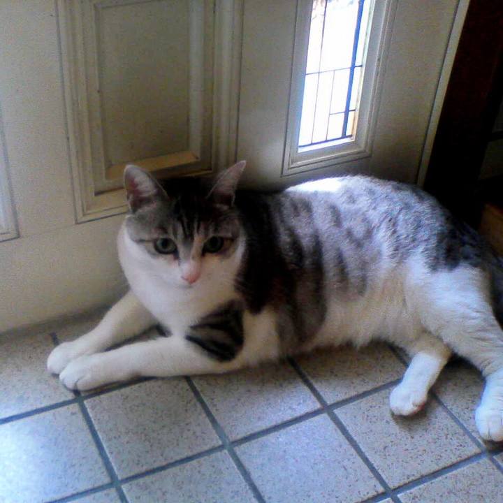 8e20155f 12ea 4950 bca3 123134246476