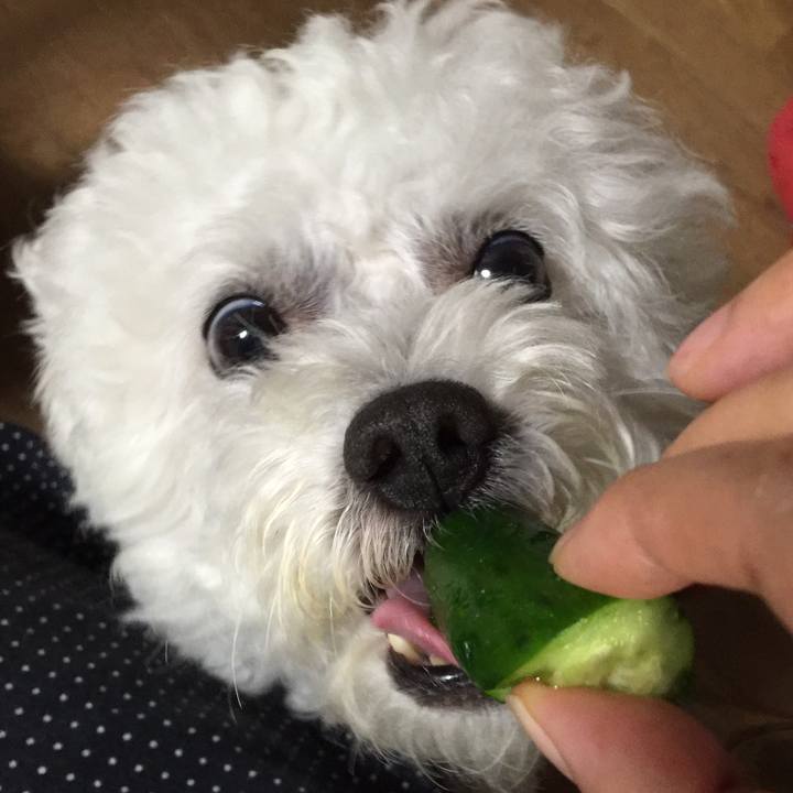 8e201795 f5a9 4e14 936e 057421c71e7c