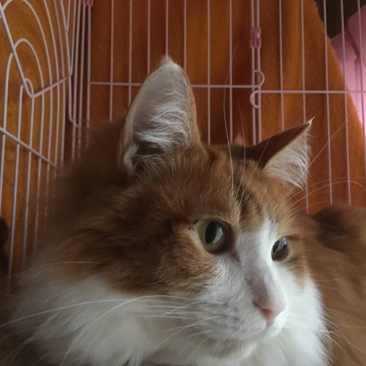 8e21cc0e 9eca 4e92 8573 e96dc6c9705d