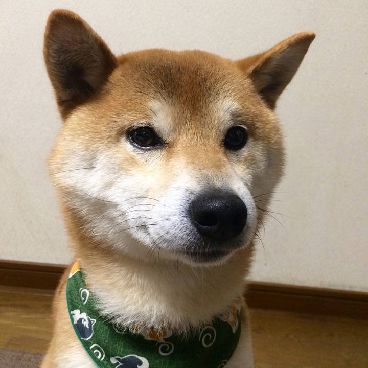 8e221109 93db 44aa bd1a 376723af146c