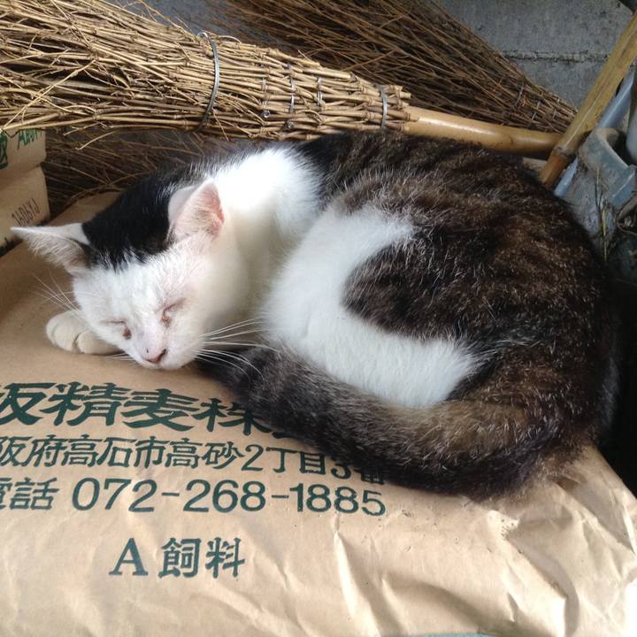 8e221ab5 9745 4cee b005 fe05a5bcafad