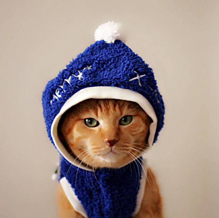 8e222ac5 2ec3 492b bc5a 3bd04afcd8f8