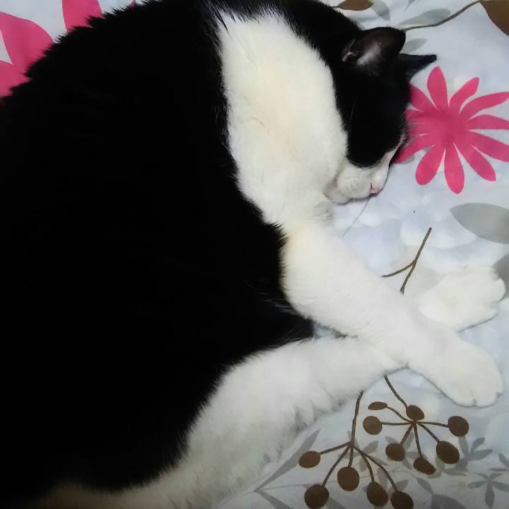 8e22c66f 2ddb 4640 b267 66141bada61e