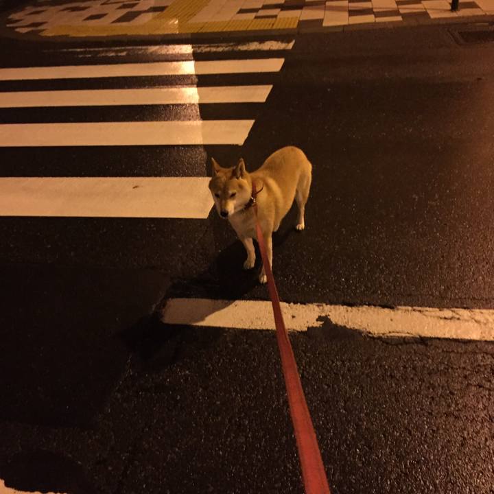 8e2326d0 1faa 496a 9eba 274f96364af8