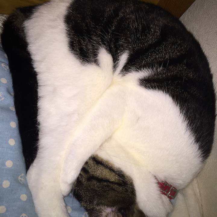 8e23398f 1750 4b6f b863 428ca8015b6c