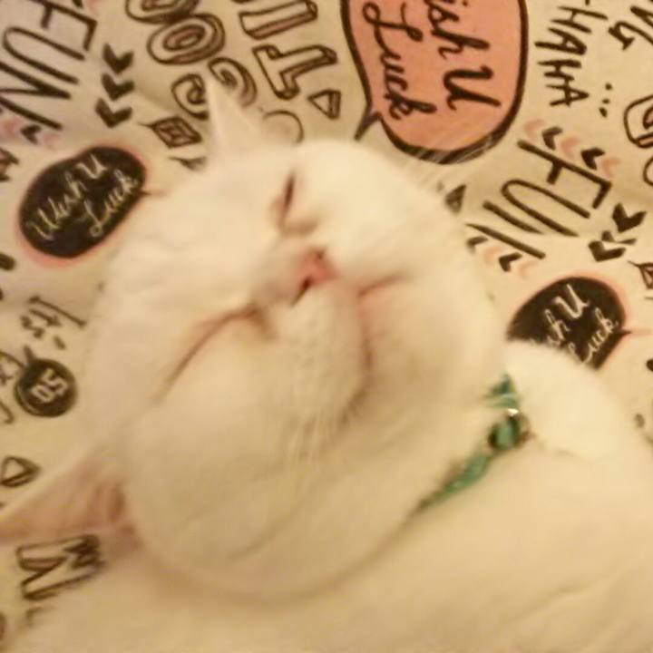 8e237c87 c1f6 44f5 af4c 69c5a5c2c5a9