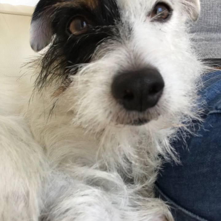 8e23c560 0735 437f b510 02ec67b4d8ed