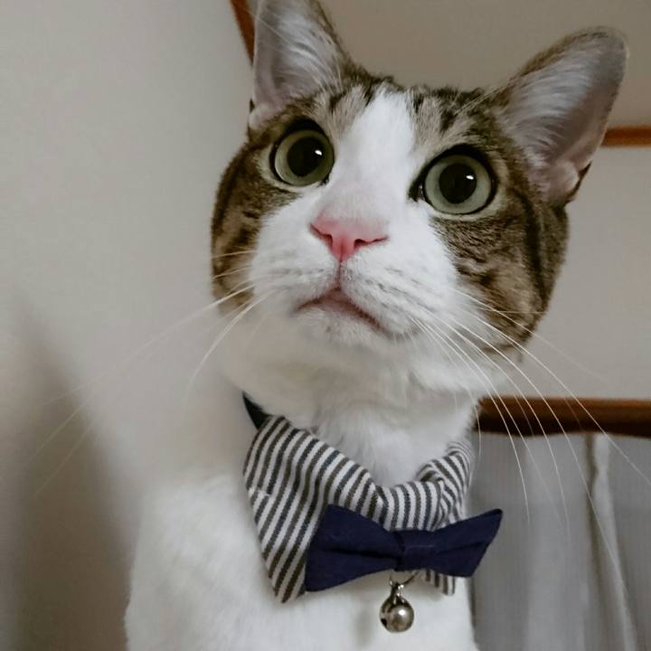 8e23d181 9c1d 418b a726 f1ce4c47bc53