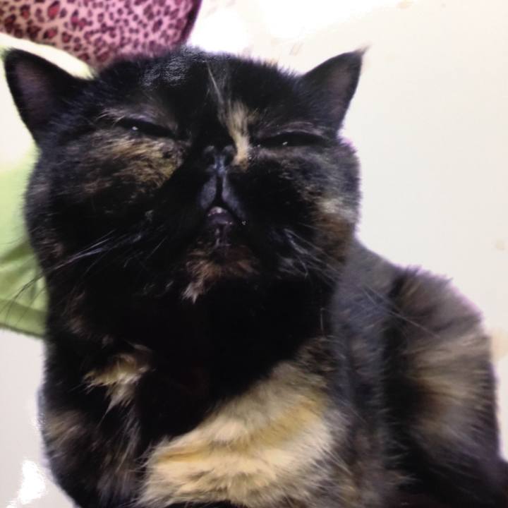 8e23fd1f 12f5 4d57 9d01 7d1ecbb3d021