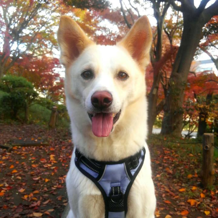 8e249153 0039 491f a142 abae1779c7e3