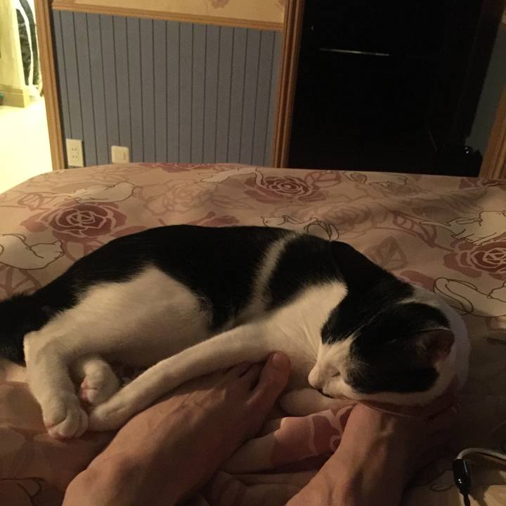 8e250bd9 f528 4fd5 8621 8ca8e8b9cd88