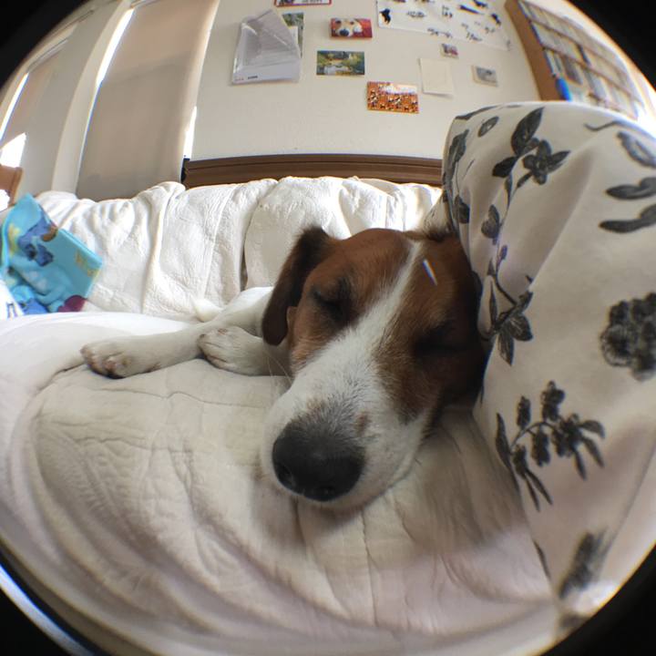 8e25b0fe 85bc 4e0e 84fa 2d086c41d20d