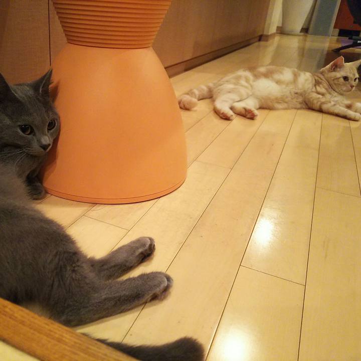 8e25d502 e107 4552 b34c 59b6b2e660cb