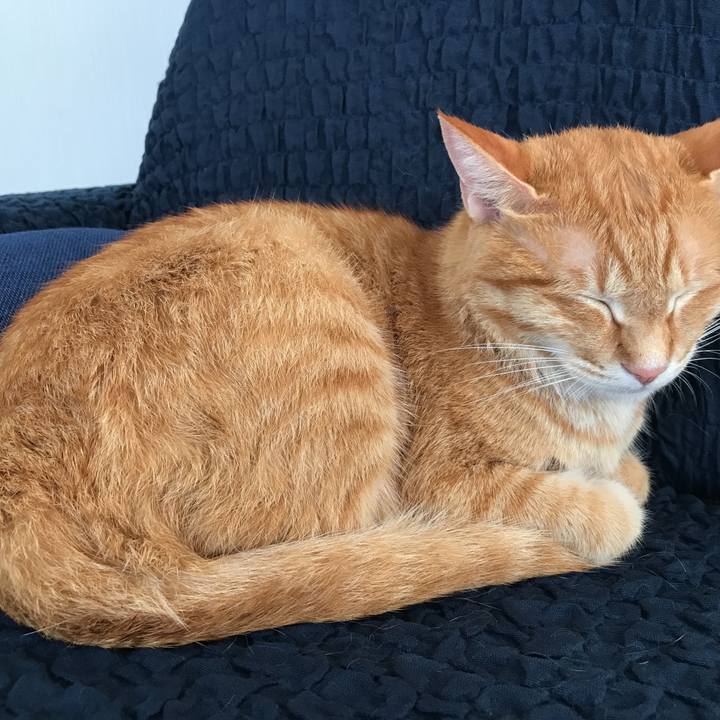 8e26076f bbcf 41cb b2ce 9d9bc0fea224