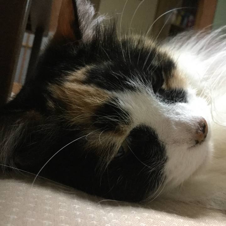 8e26bca3 5c50 475e 97bc aac9ea130763