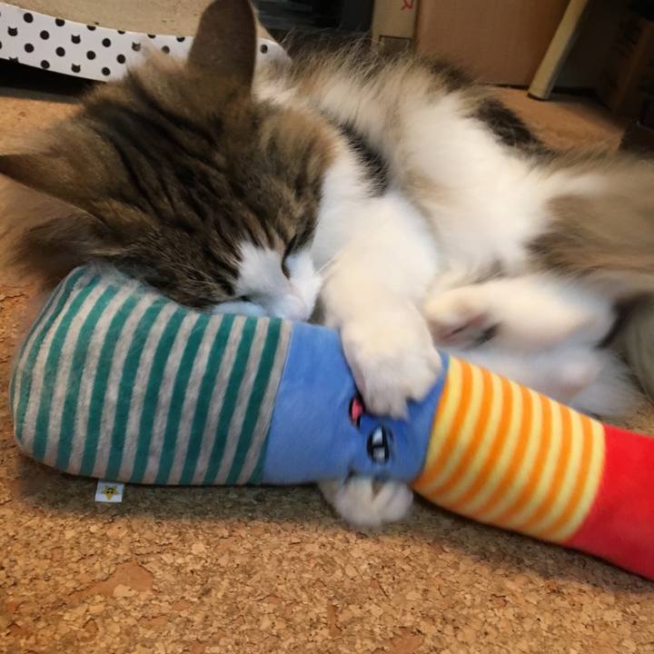 8e2713d3 14bb 434a b0c0 9e652b3c2325