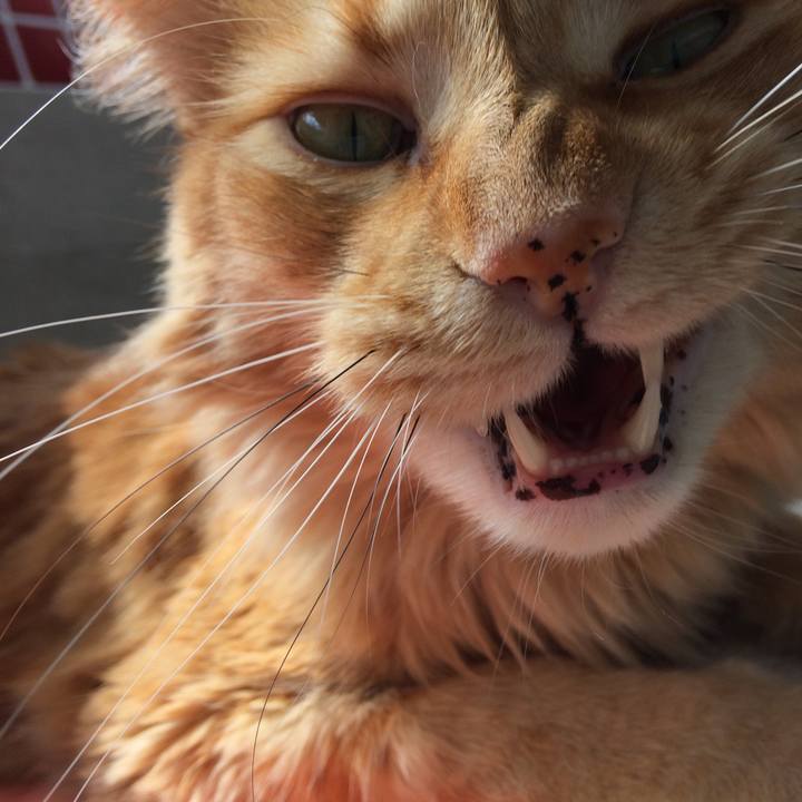 8e27389f dc0e 4dd4 be19 f88f5ad2fbd2