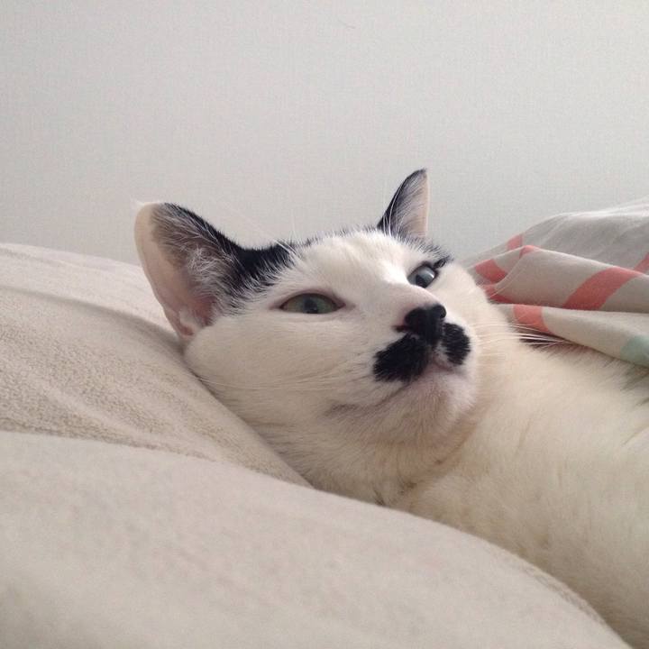 8e27767b 2fab 4603 82a9 e864e96b063e