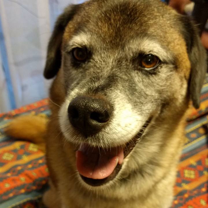 8e277fb2 3b4e 4f00 8b5a 2dbdcf68e033