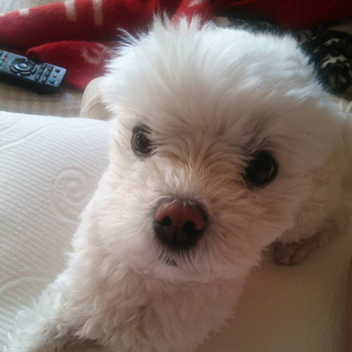 8e27a4e6 e77f 476c b54f 5e5cdc185553