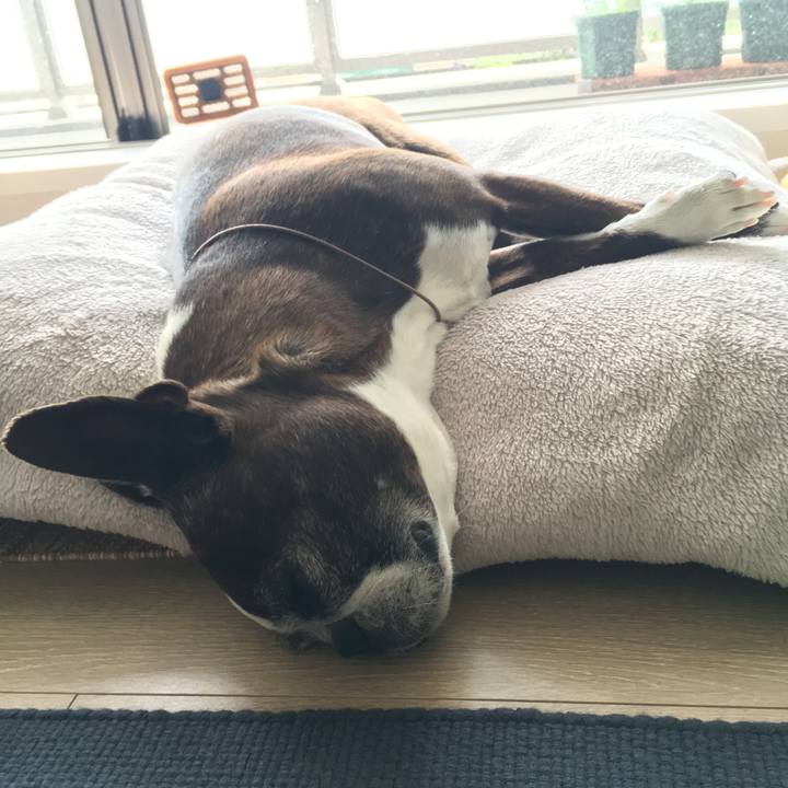 8e28889b 867d 45b9 8558 8066452840b7