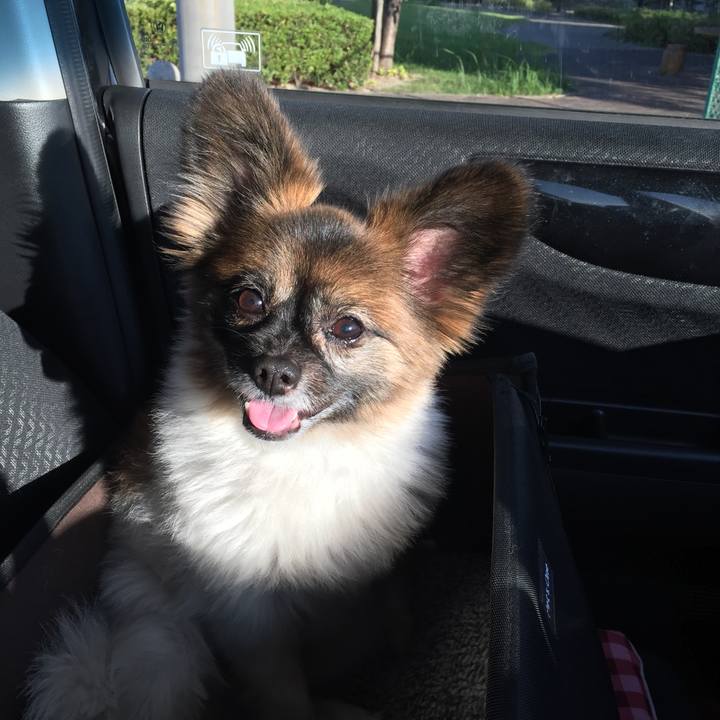 8e28e848 02d5 4cd6 9a07 6f8beb0ff67f