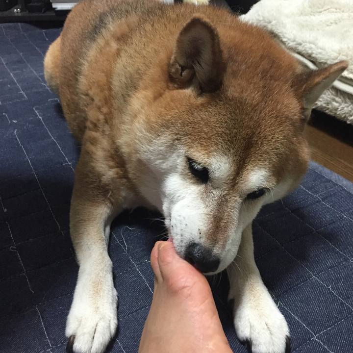 8e291cf8 ac7f 4295 b1f5 941d67291f6b