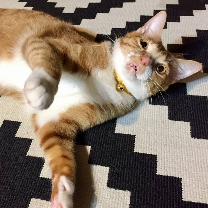 8e2948e0 97ce 442b 8f69 7a8cba113013