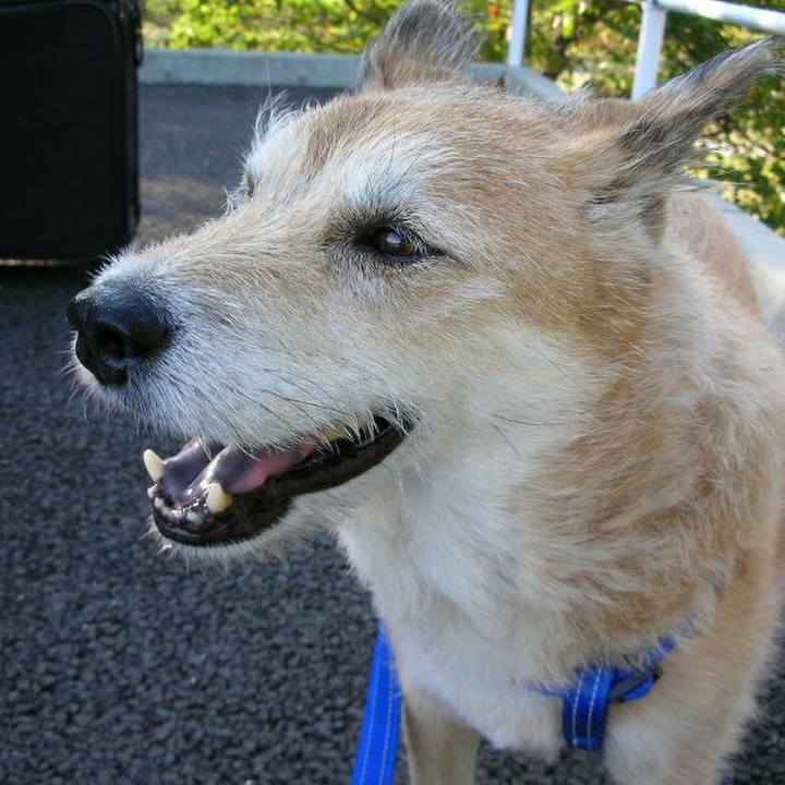 8e2a6aa2 02d9 4e75 9d9c 1c7f5afea889