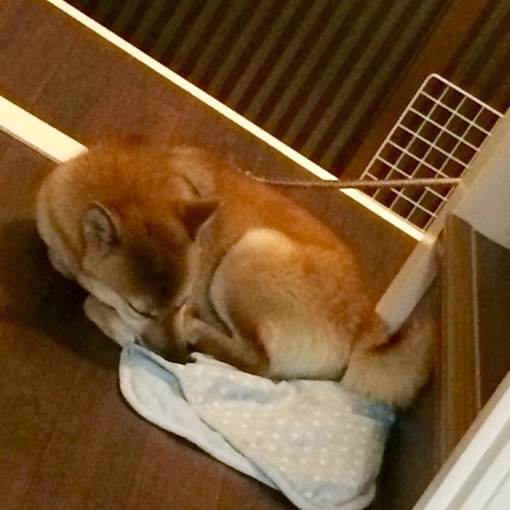 8e2a7c1d 1332 49d0 a598 65240a5cd262