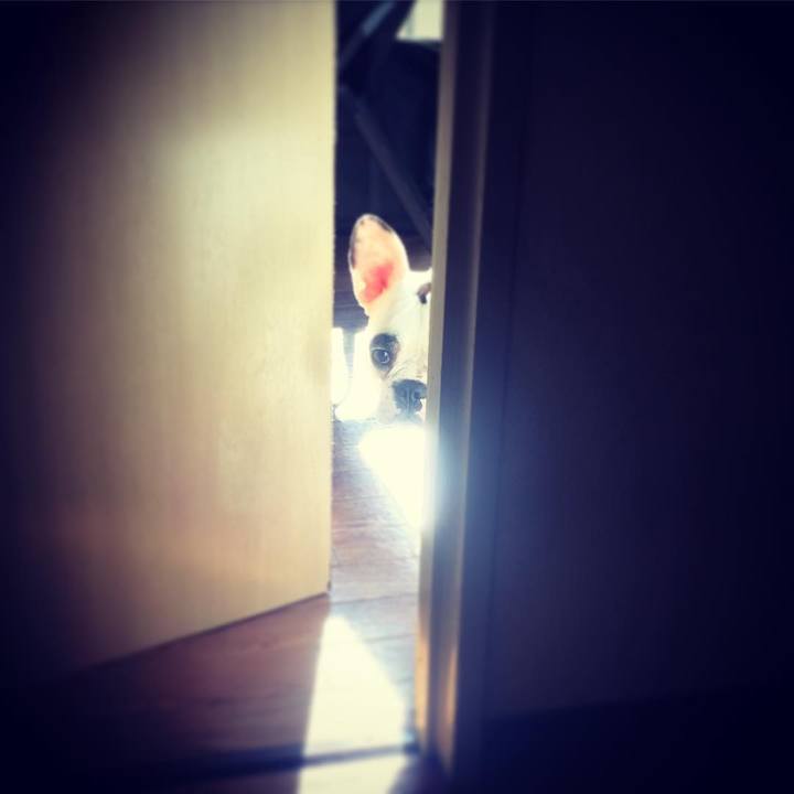 8e2b0d40 0330 431f abaa d06f89b1b409