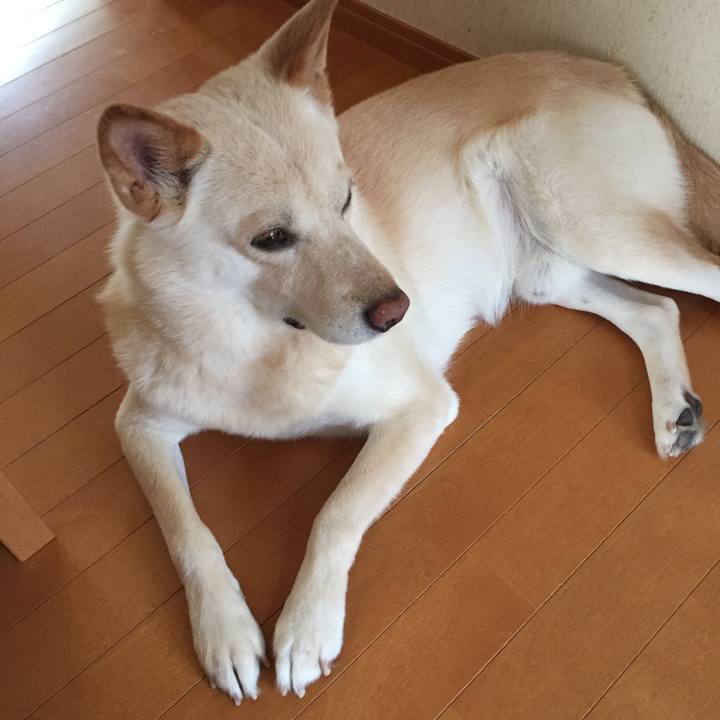 8e2b49f7 f07c 4a98 8900 71ee203e061e