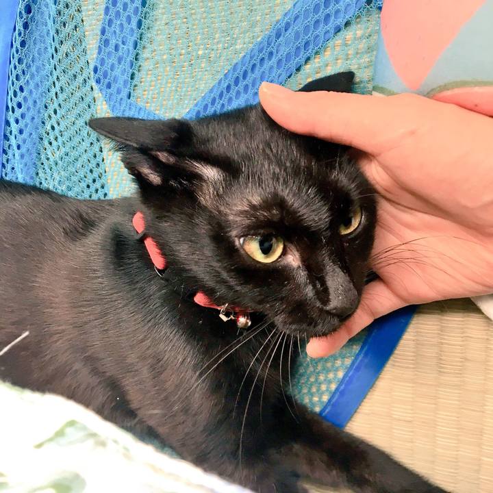 8e2b5068 e754 4edd 8f0e ca59abb82aa3