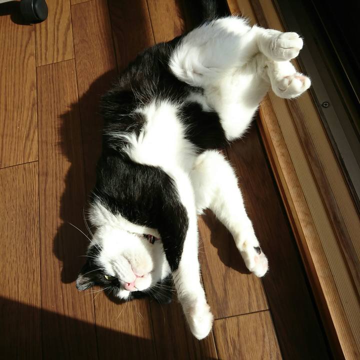 8e2c45d6 6000 4931 934e 34ec51b3a851