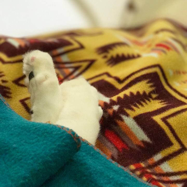 8e2c4da5 813e 47d1 8cfe aecb7728dd2a