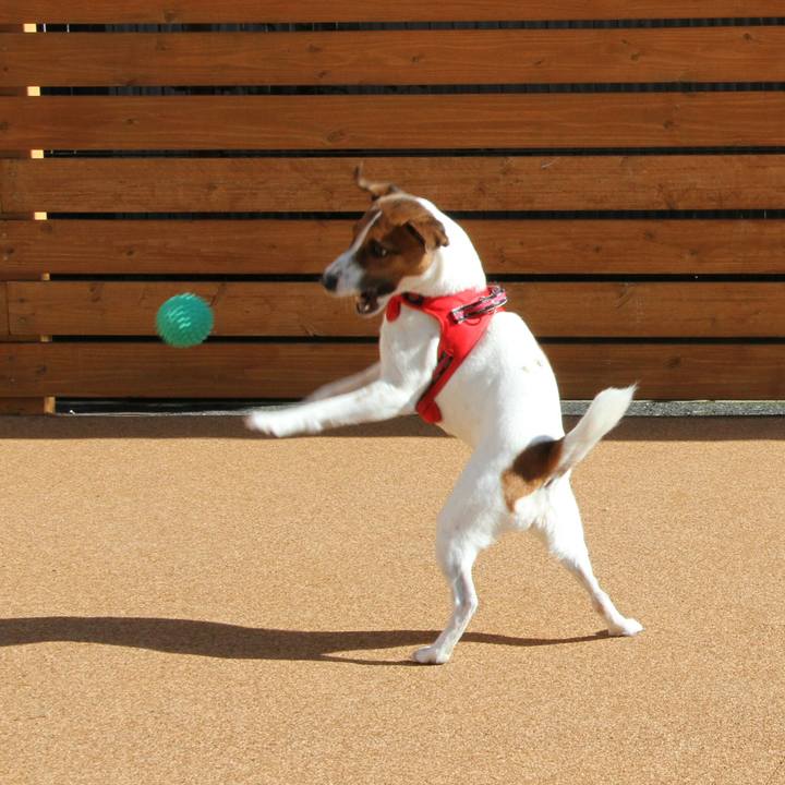 8e2c95d6 2d23 4f54 8495 b19b6954f8c3