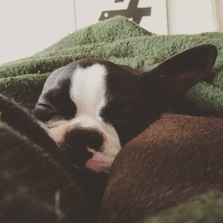 8e2de474 fa7e 4071 9b74 7f2dbb52a01b