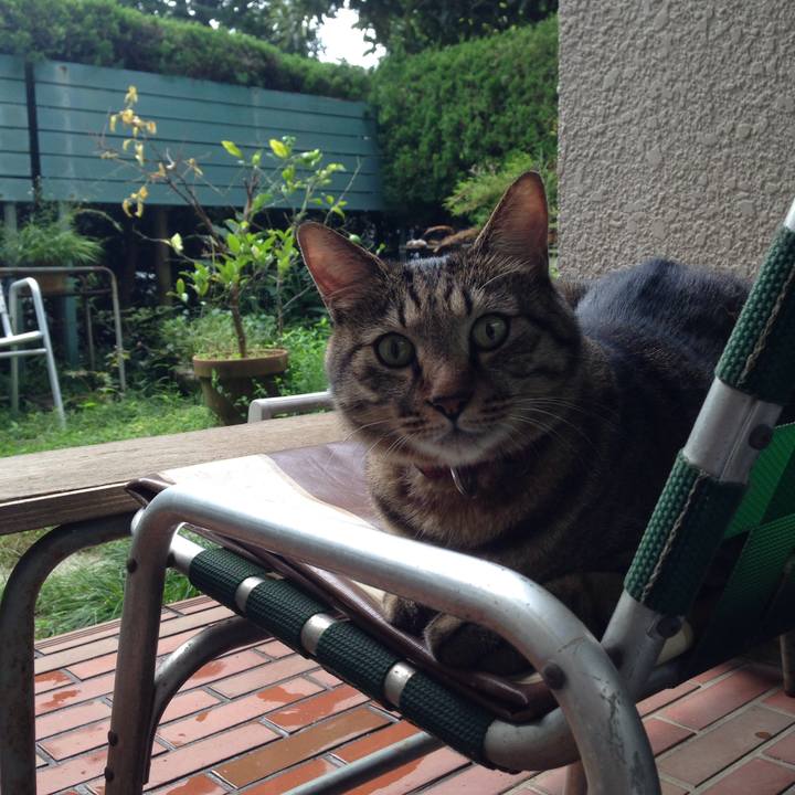 8e2e0b24 871b 49df bd34 effc15e8b93b