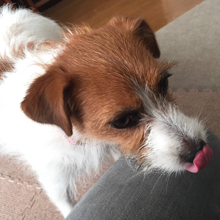 8e2e1084 038a 450f 8704 66470103fa9b