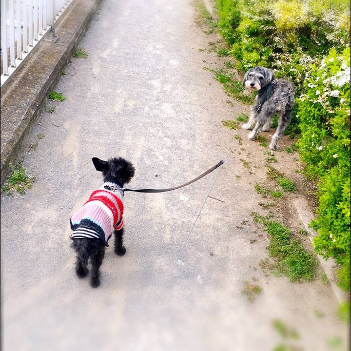 8e2e5489 88cb 45f8 acc1 f63a25f5410d