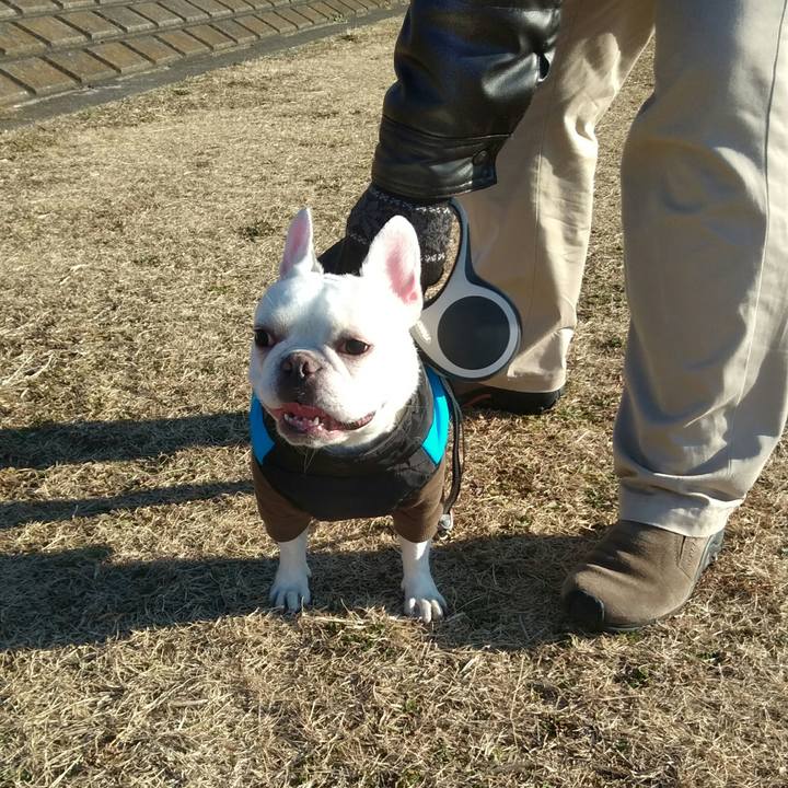 8e2f149a 09af 4313 8f3e 9042b9d784d5