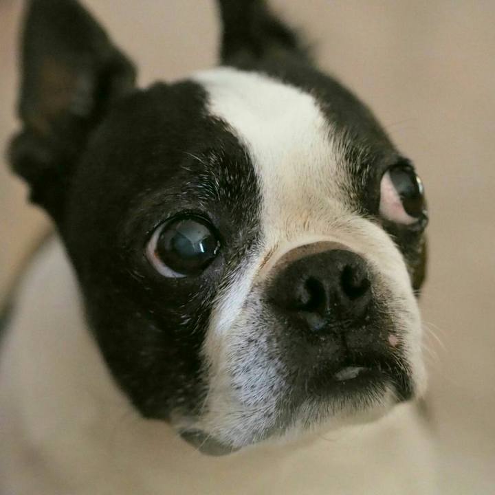 8e2f14b2 374e 4445 bef4 af4d8d971ff5